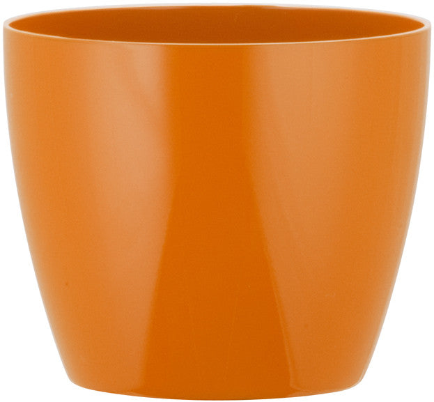 Phoenix Cylinder - Gloss - Botanicus