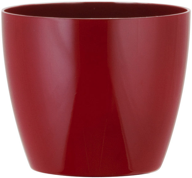 Phoenix Cylinder - Gloss - Botanicus