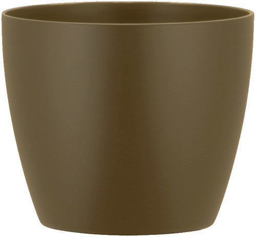 Phoenix Cylinder - Matte - Botanicus