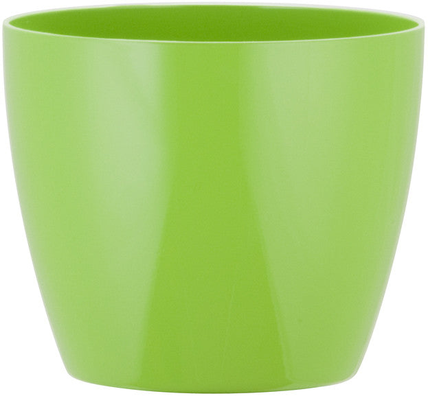 Phoenix Cylinder - Gloss - Botanicus