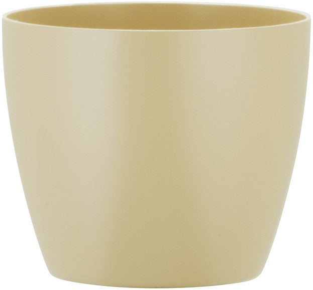 Phoenix Cylinder - Matte - Botanicus