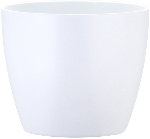 Phoenix Cylinder - Matte - Botanicus