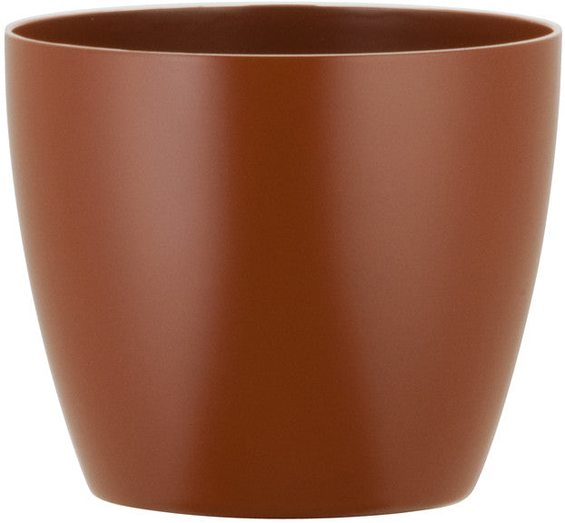 Phoenix Cylinder - Matte - Botanicus