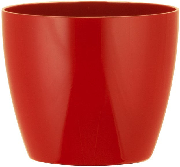 Phoenix Cylinder - Gloss - Botanicus