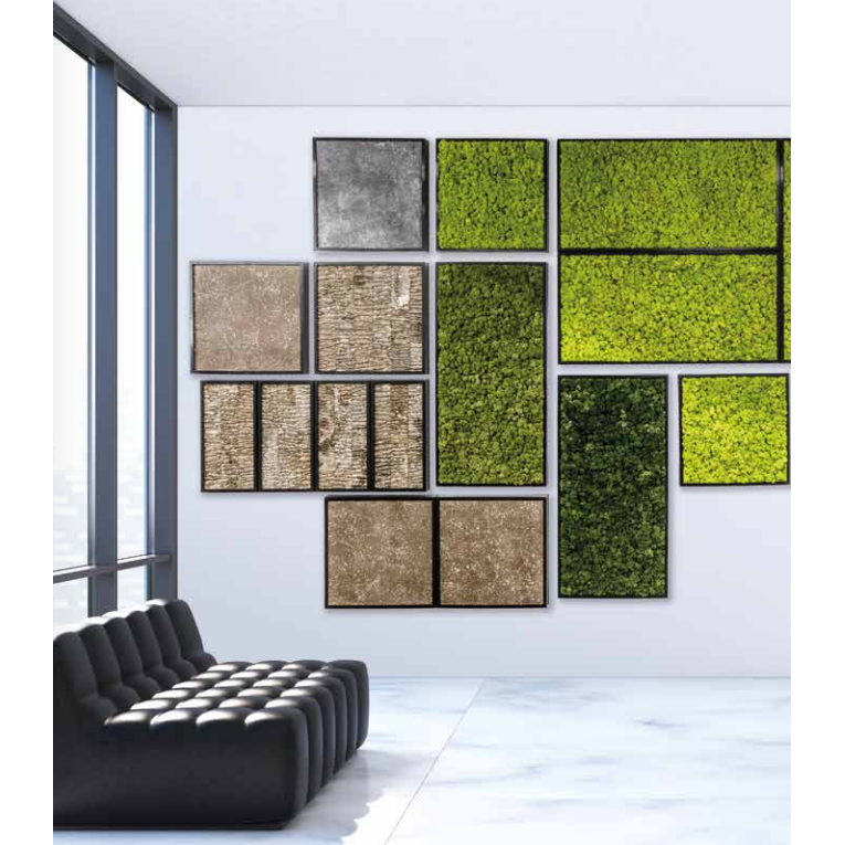 Moss Walls - Botanicus