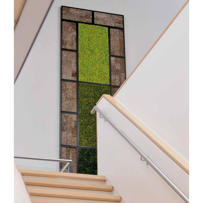 Moss Walls - Botanicus