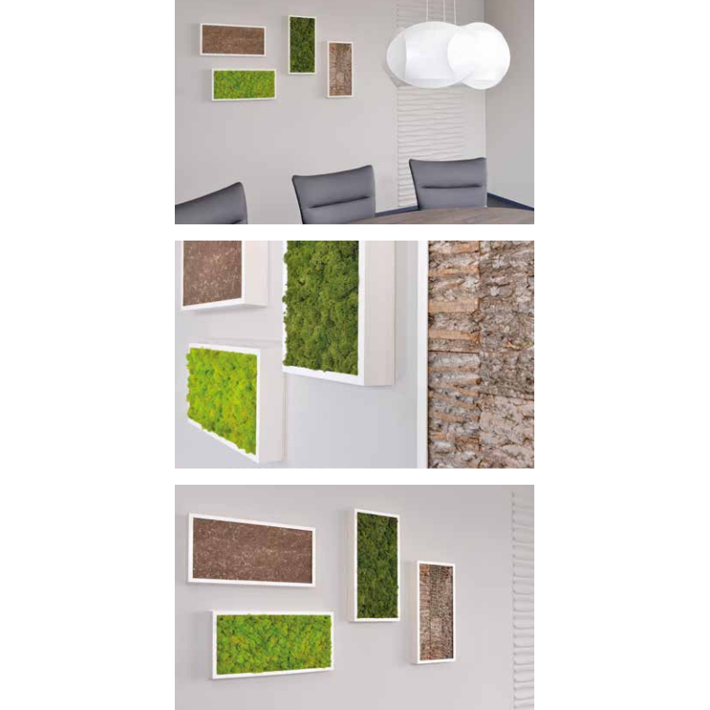 Moss Walls - Botanicus