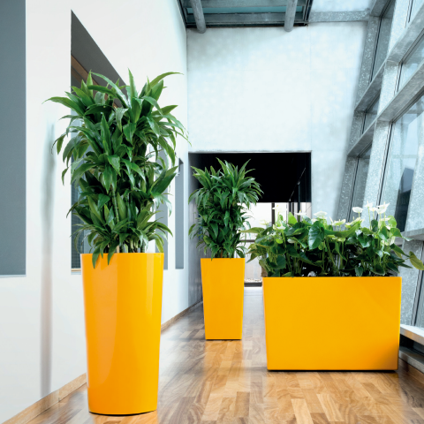 Rise Cubes - Metallic - Botanicus