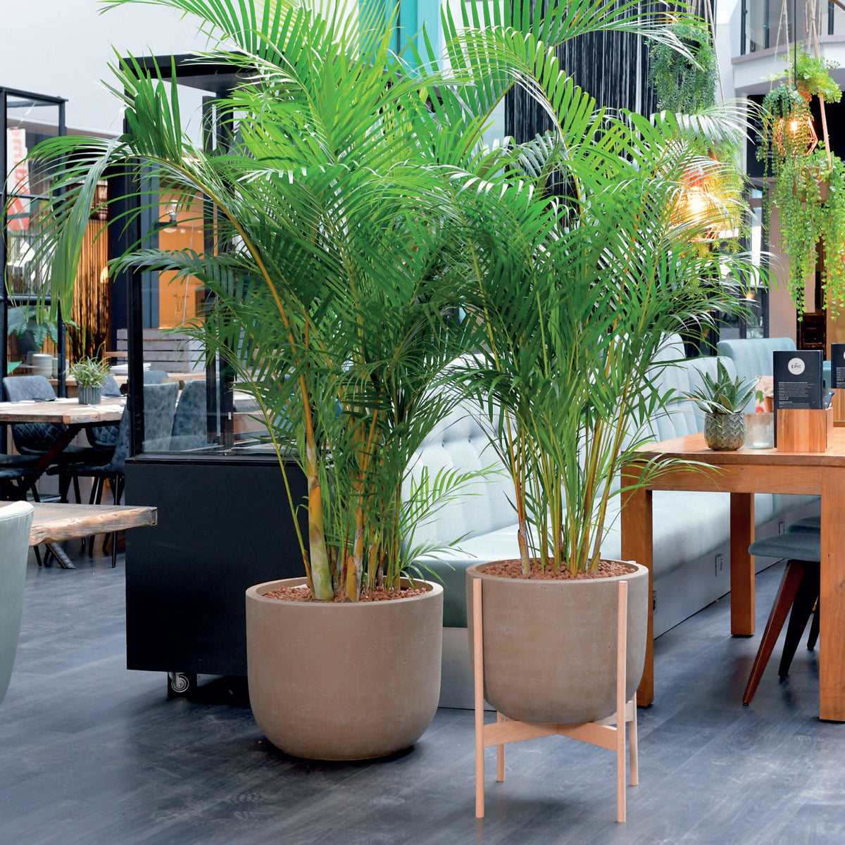 Strong Clay Pottery Planter Bottom Radius