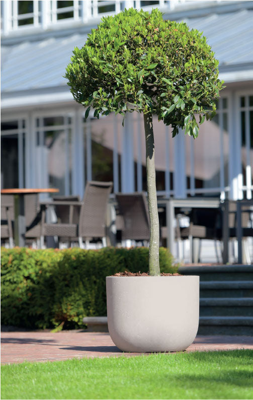 Strong Clay Pottery Planter Bottom Radius