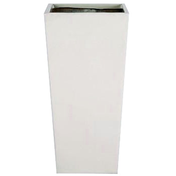 European Tall Square - Matte - Botanicus