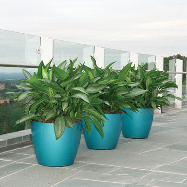 Phoenix Cylinder - Gemstone - Botanicus