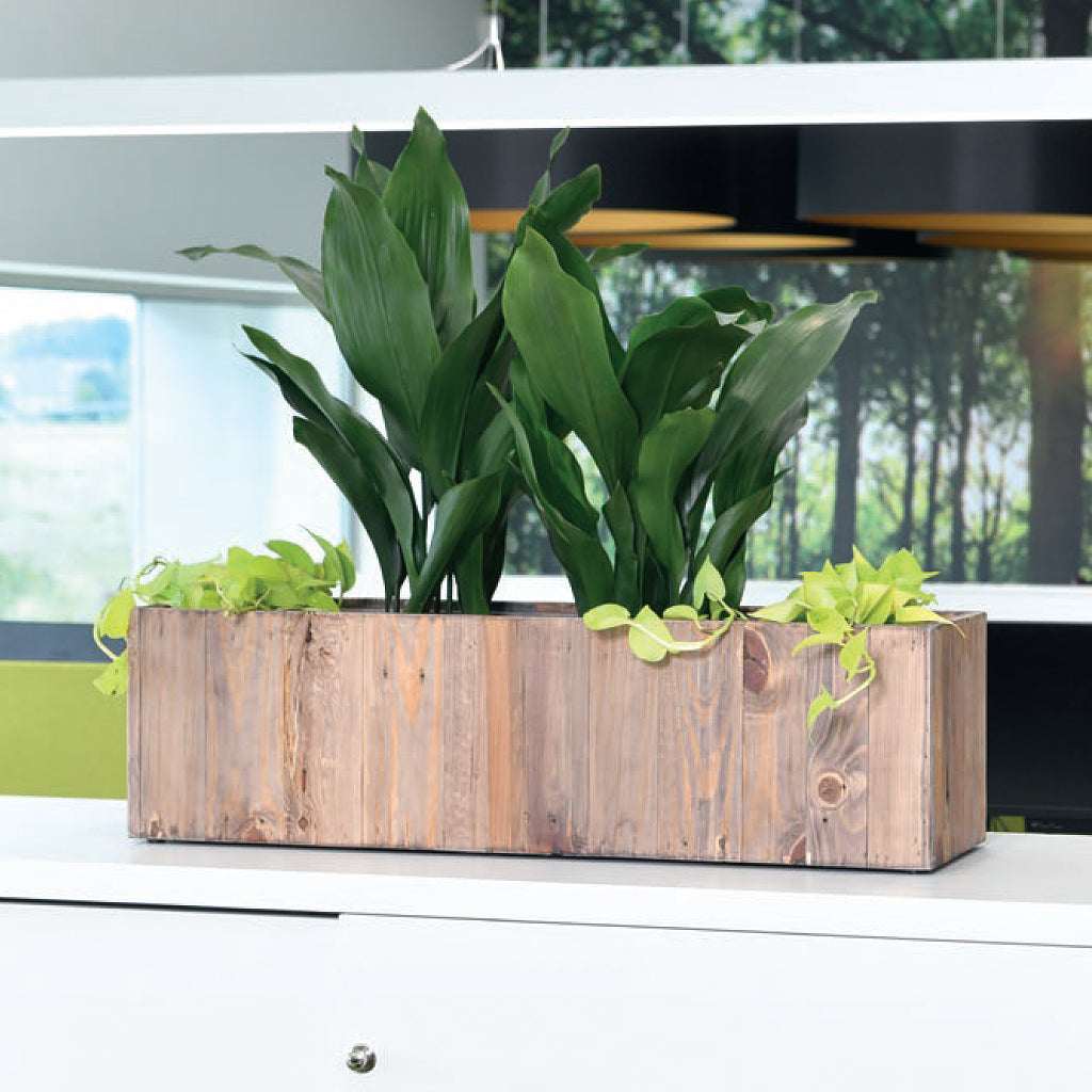 Salvaged Wood File Top Rectangles