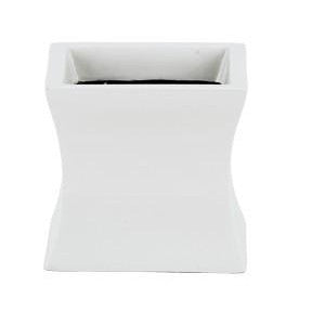 Symmetry Squares - Gloss - Botanicus